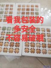 ũ��ɢ��������