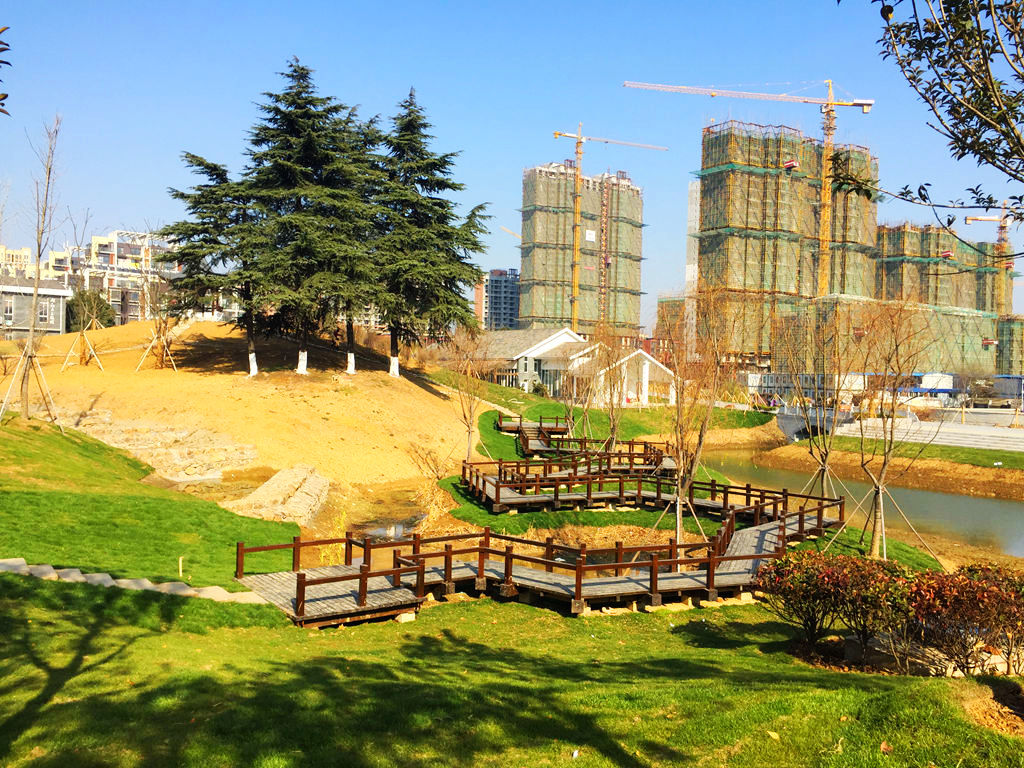 纪实摄影西苑新貌2