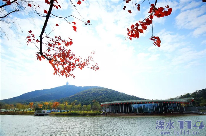 溧水的秋天已经美成了这样你见过吗