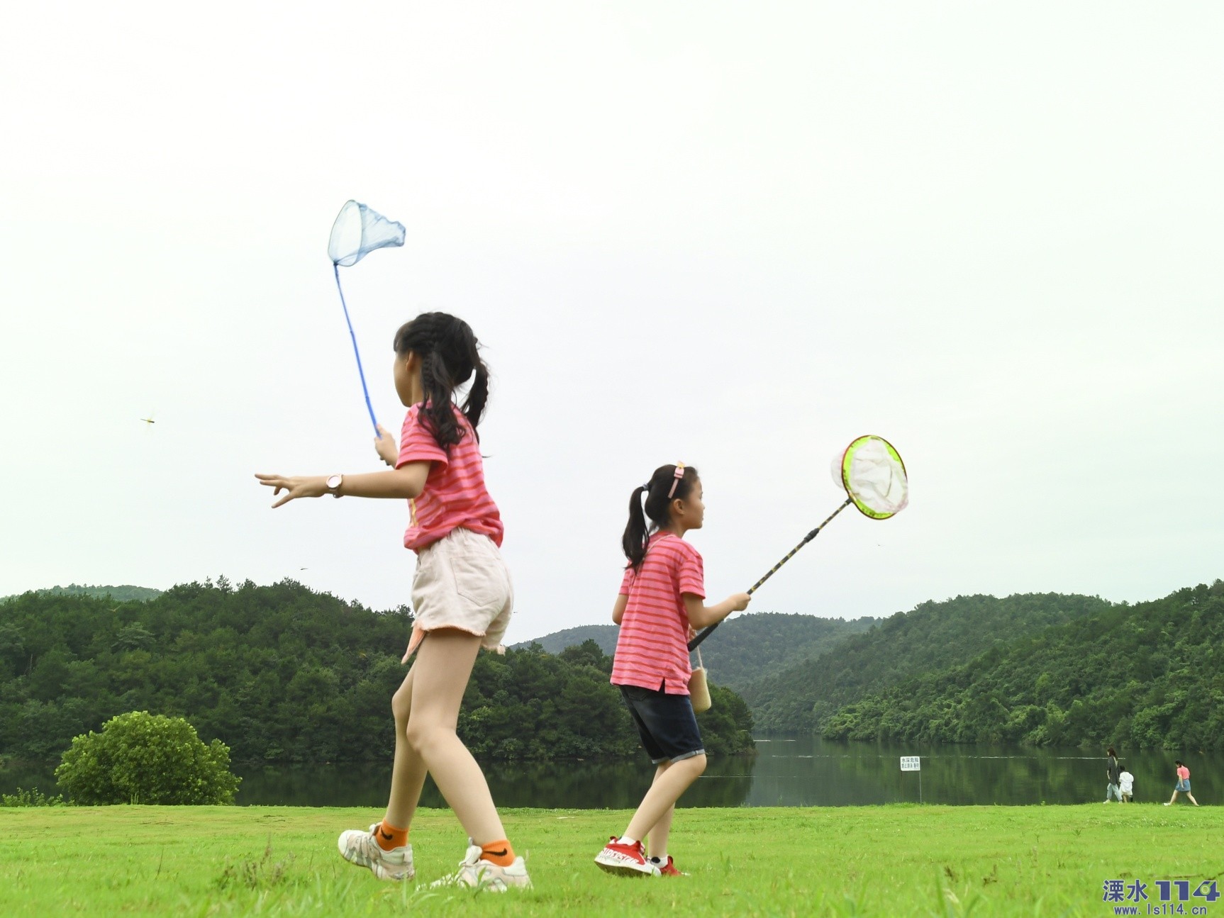 儿时和你一起捉蜻蜓的小伙伴们,你现在还记得吗?