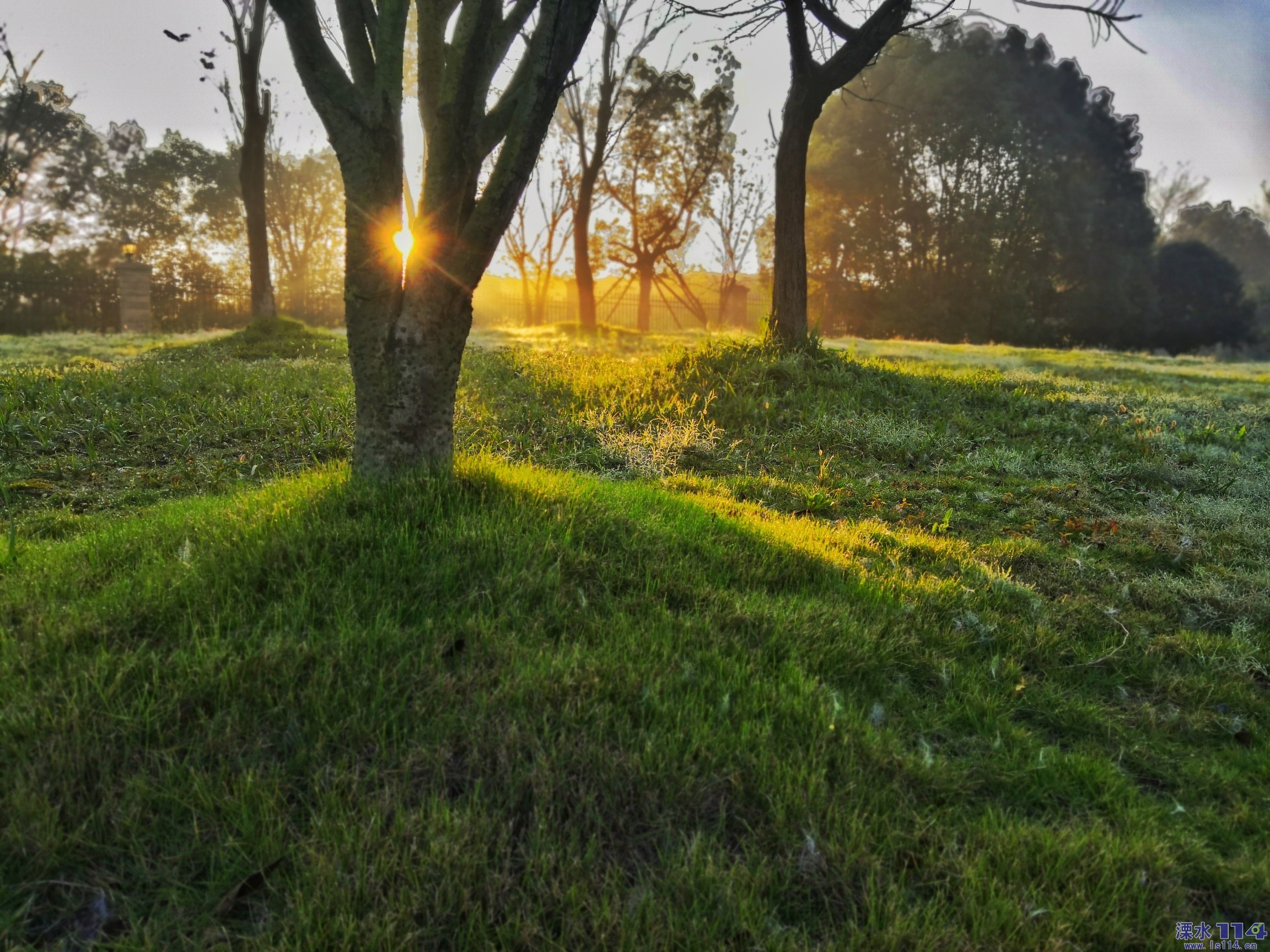 《当清晨第一缕阳光洒向大地时》