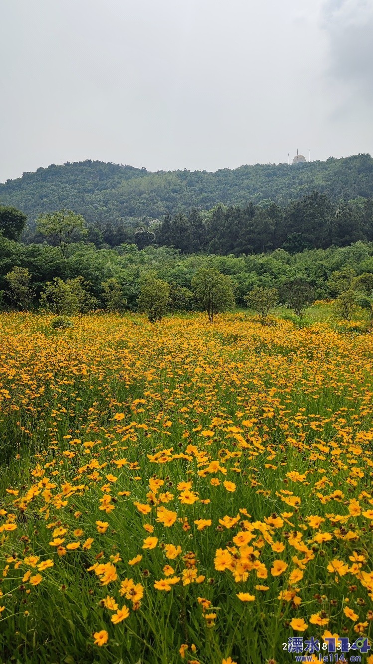 溧水无想山风景区图片