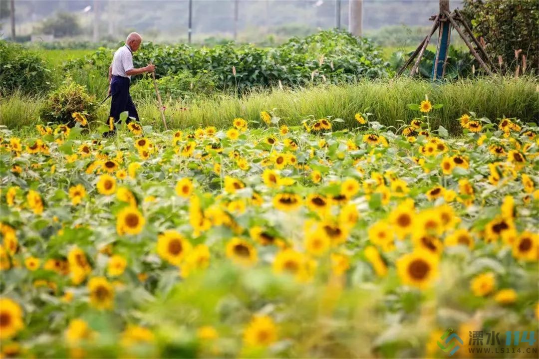 微信图片_20220531091247.jpg