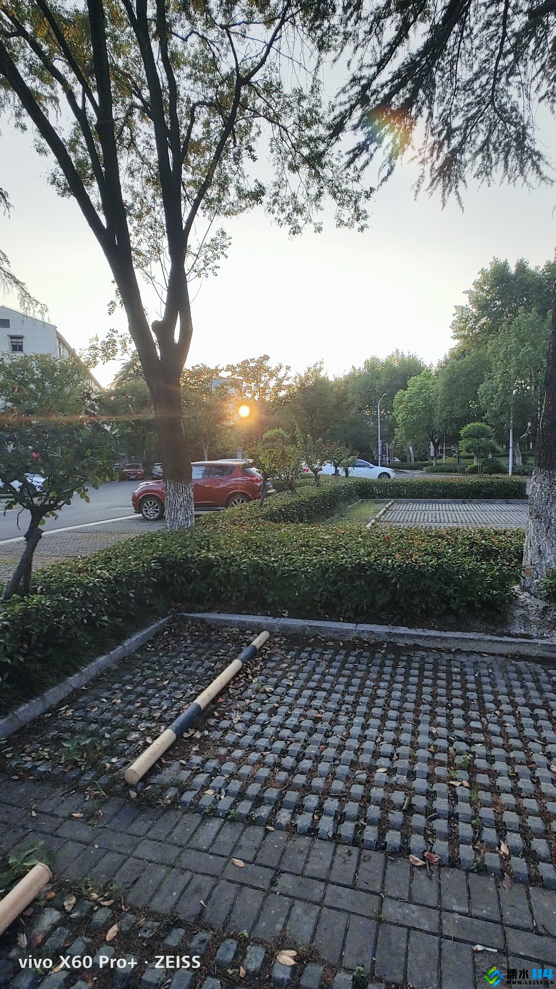 1663048974954869.jpeg