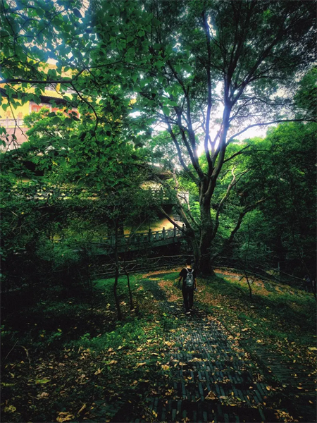 640_wx_fmt=jpeg&from=appmsg&tp=webp&wxfrom=5&wx_lazy=1&wx_co=1.webp (8).png.png